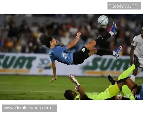 足球投注攻略揭秘助你赢得比赛的乐趣与收益